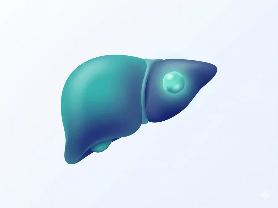 Liver Cancer