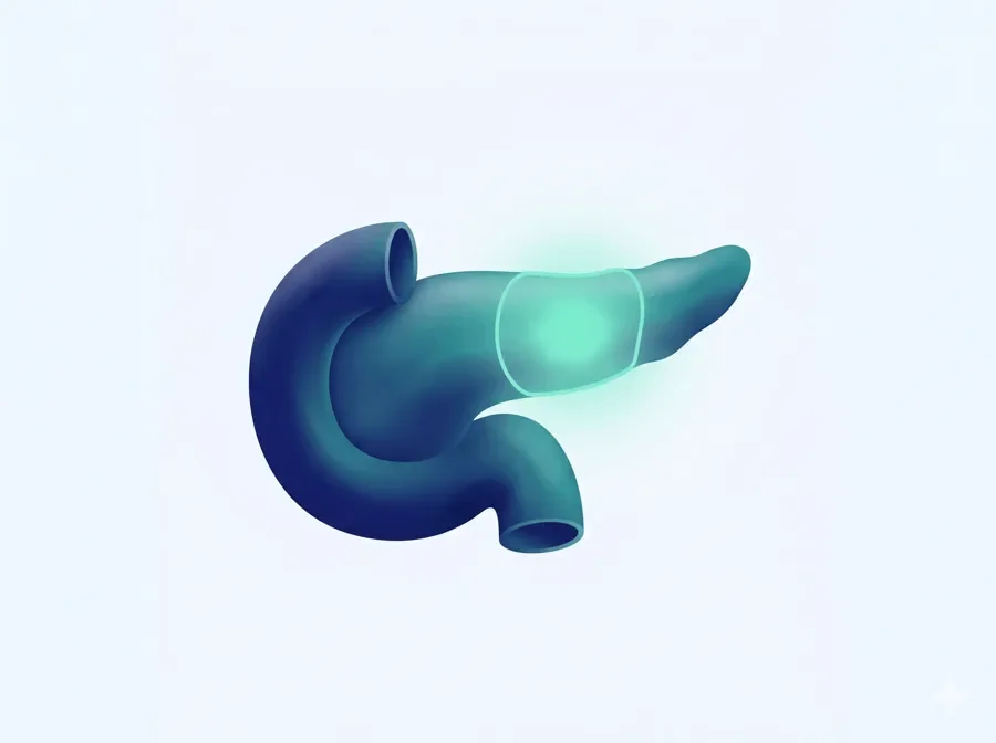 Pancreas Cancer